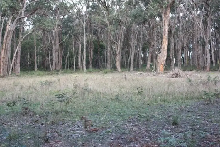 Fifth view of Homely land listing, 565 Wormbete Station Road, Torquay VIC 3228