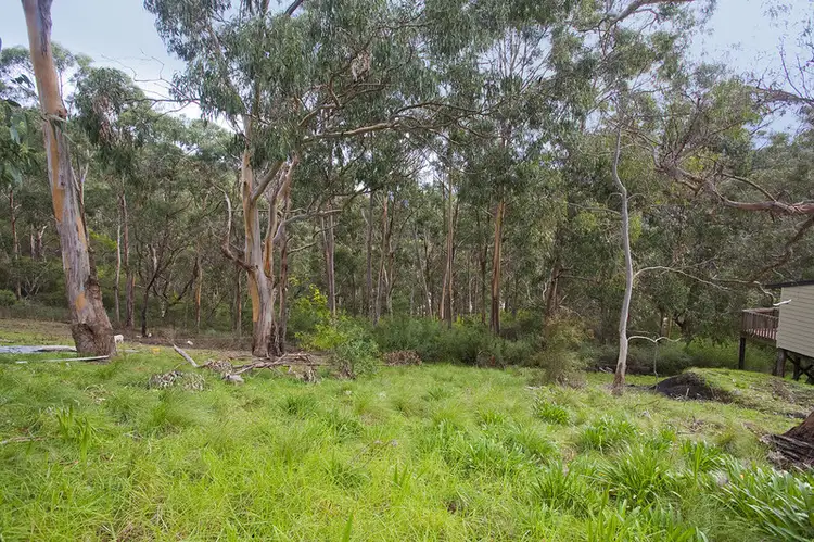 Main view of Homely land listing, 19 McRae Road, Wye River VIC 3221