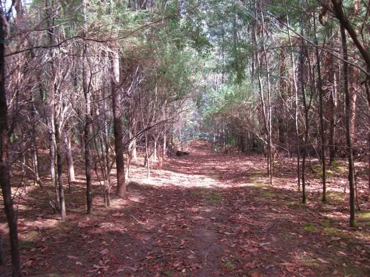 Fifth view of Homely land listing, Lot 2 Off Pelverata Road, Pelverata TAS 7150