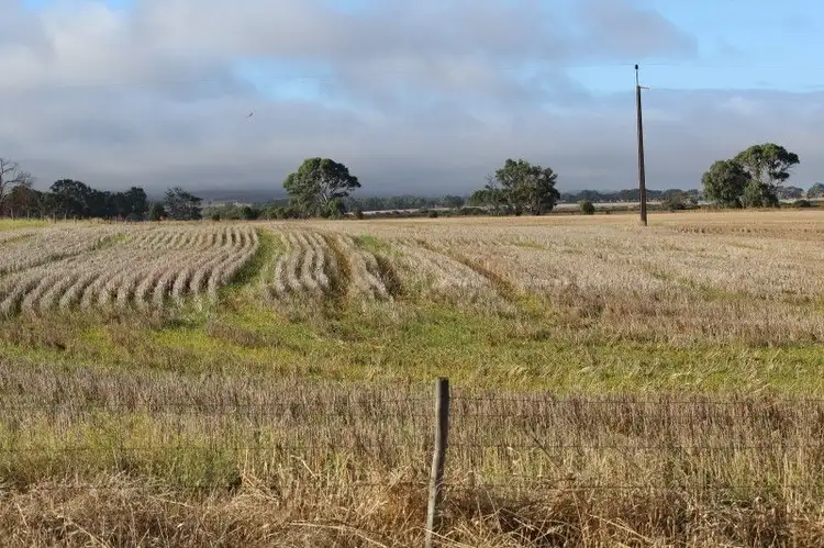 Second view of Homely rural property listing, 14 Gap Road Warrow, Coulta SA 5607