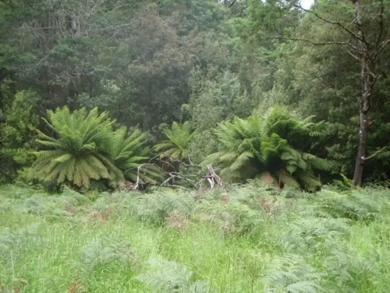 Main view of Homely land listing, Lot 5 Wylies Road, Cradoc TAS 7109