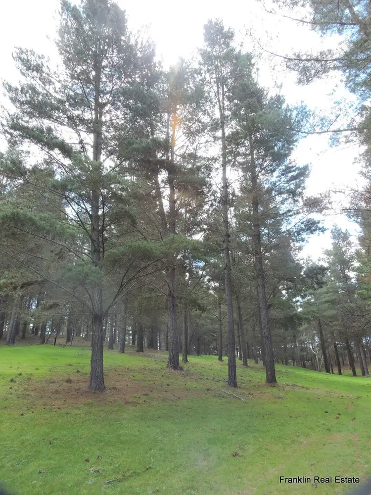 Sixth view of Homely rural property listing, "The Valley" Lot 3 Pine Bank Pine Bank Drive, Bungonia NSW 2580