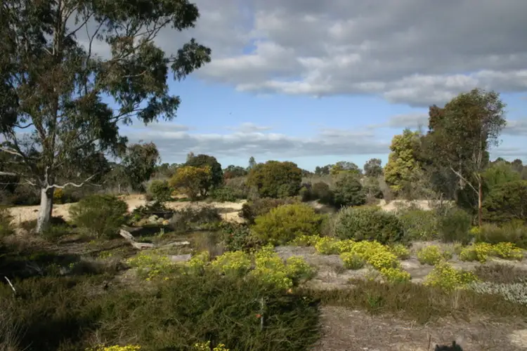 Seventh view of Homely rural property listing, 619 Walshs Road, Mckenzie Creek VIC 3401