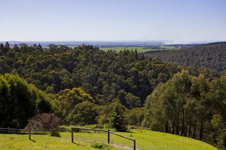 Main view of Homely house listing, 565 Deans Marsh - Lorne Road, Deans Marsh VIC 3235