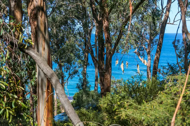 Sixth view of Homely house listing, 11 Cassidy Drive, Kennett River VIC 3221