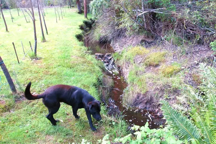 Sixth view of Homely house listing, 8731 Huon Highway, Southport TAS 7109