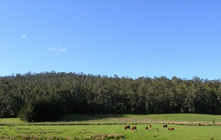 Main view of Homely land listing, Lot 2 Huon Highway, Southport TAS 7109