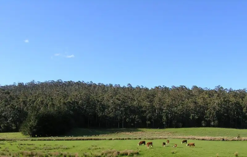 Main view of Homely land listing, Lot 2 Huon Highway, Southport TAS 7109