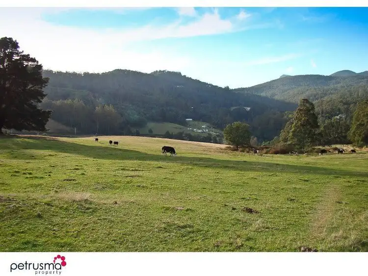 Lot 4 Hovingtons Road, Lower Longley TAS 7109