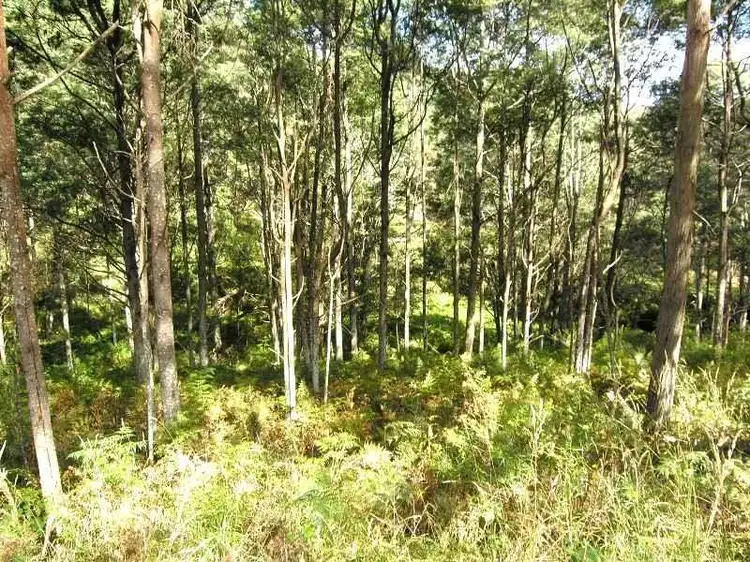 Main view of Homely land listing, Huon Highway, Surges Bay TAS 7116