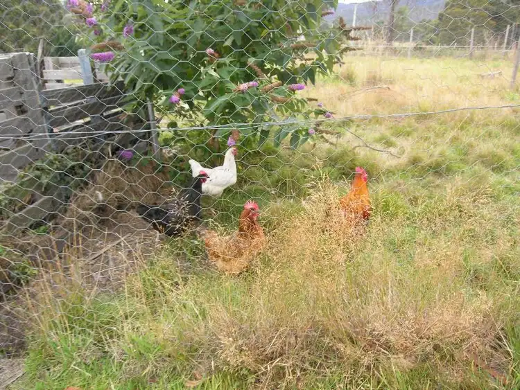 Seventh view of Homely house listing, 163 Judds Creek Road, Judbury TAS 7109