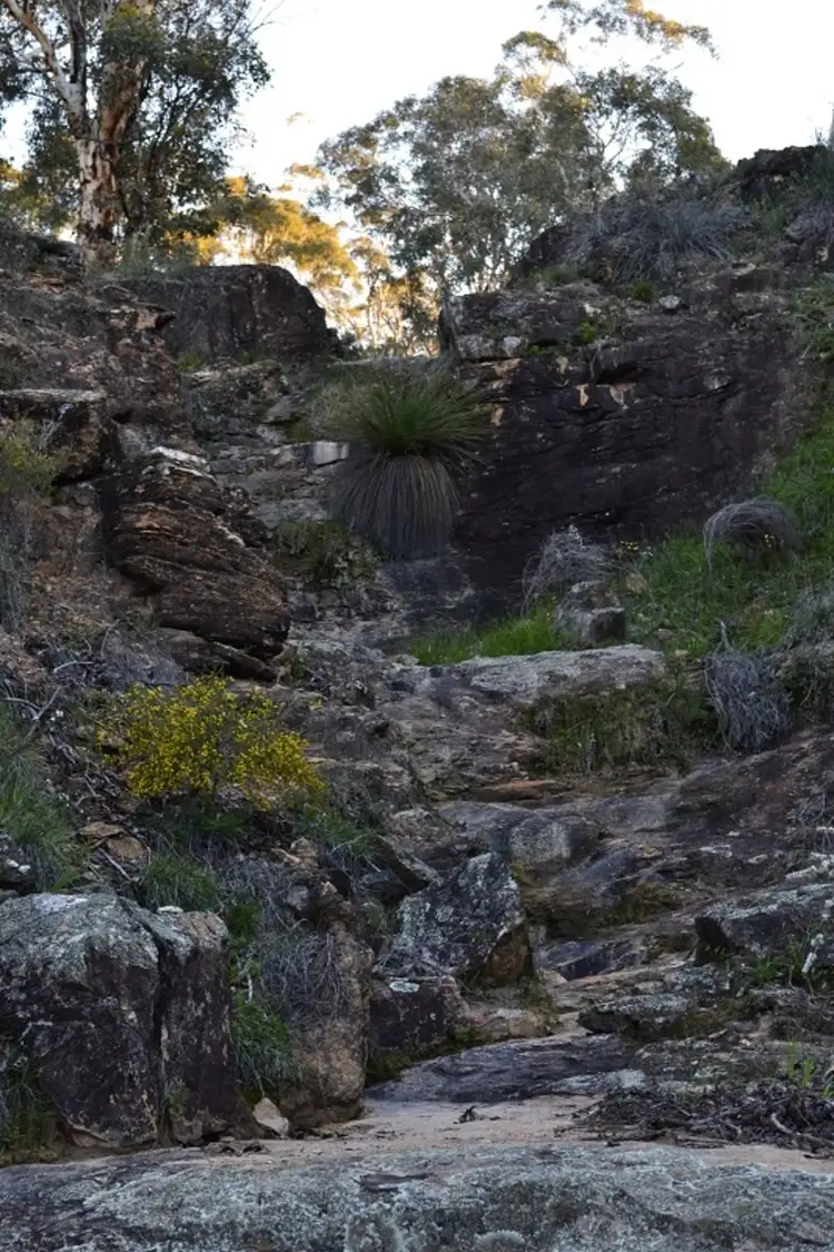 Seventh view of Homely rural property listing, 117 TWILIGHT BRAE, HODDYS WELL, Toodyay WA 6566