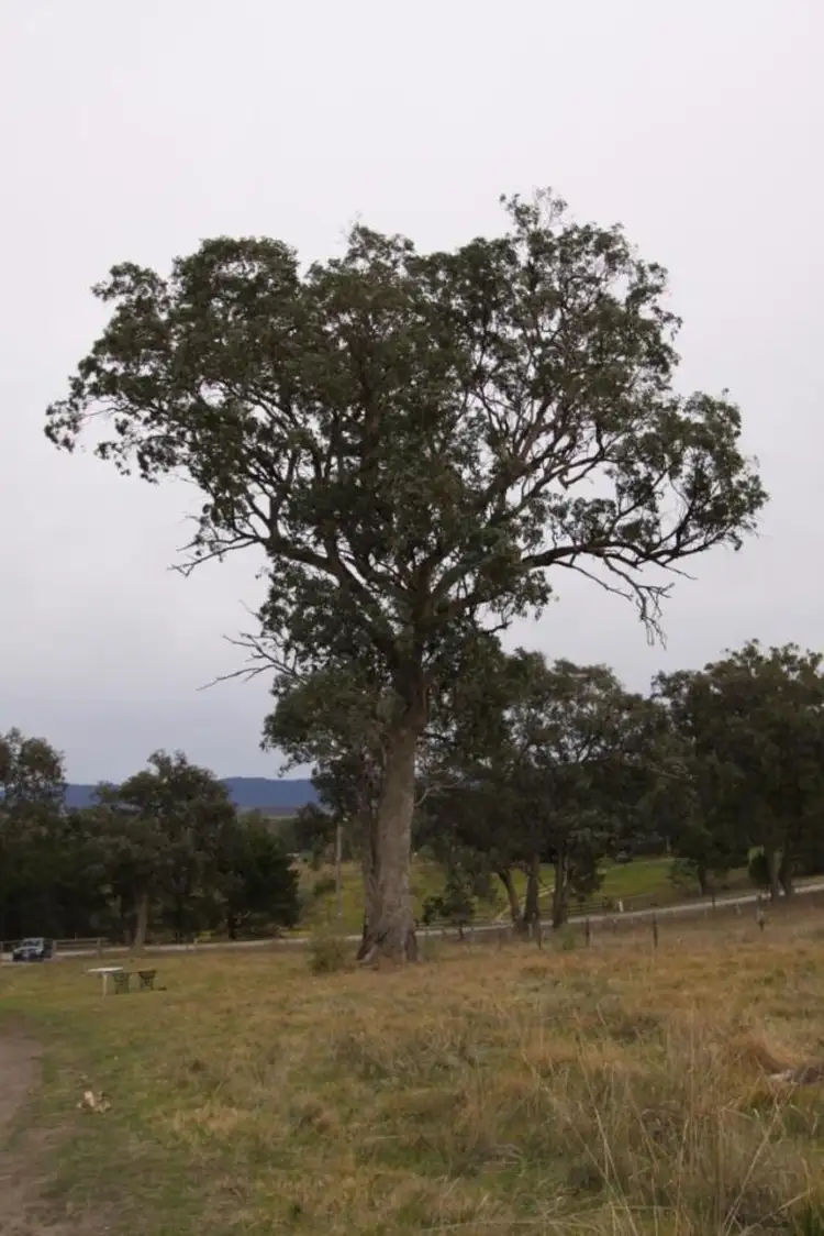 Fifth view of Homely land listing, Lot 5 Hodges Road, Coongulla VIC 3860
