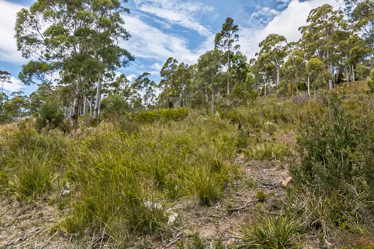 Third view of Homely land listing, 29 Cowen Joe Road, Gardners Bay TAS 7112