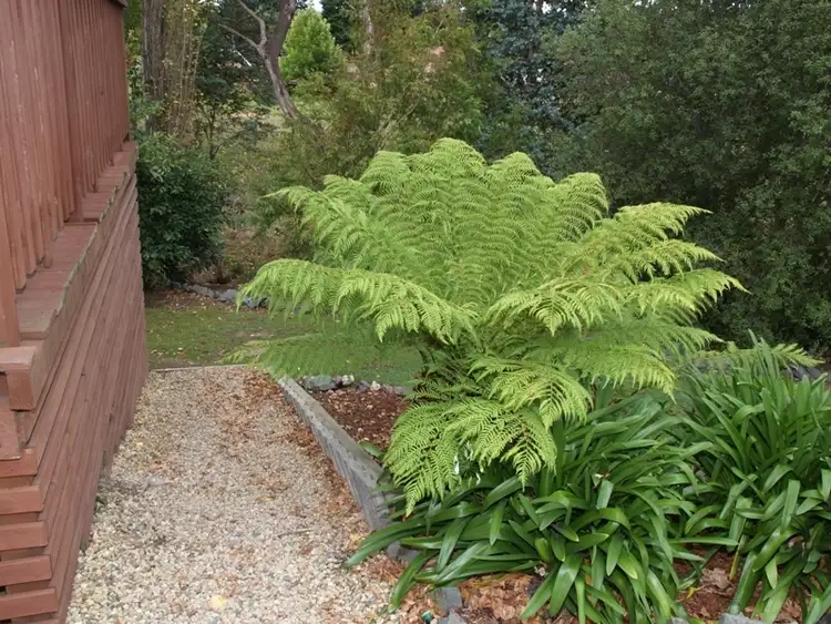 Seventh view of Homely house listing, 60 Marguerite Street, Ranelagh TAS 7109