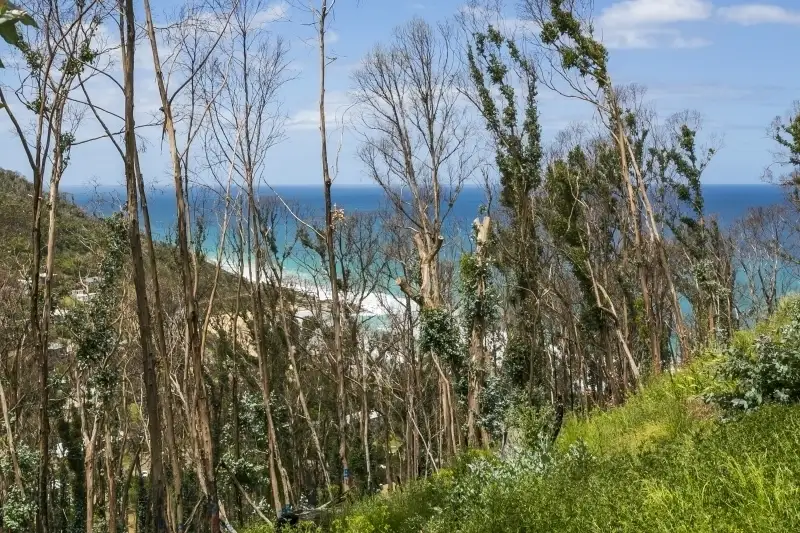 Main view of Homely land listing, 3 Dunoon Road, Wye River VIC 3234