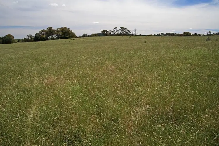 Fourth view of Homely rural property listing, Address available on request