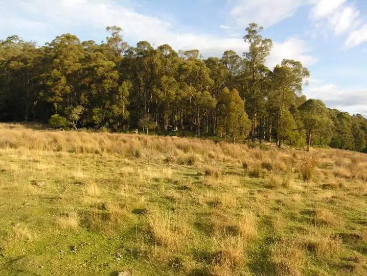 Sixth view of Homely land listing, 214410/1 Halls Track Road, Pelverata TAS 7150