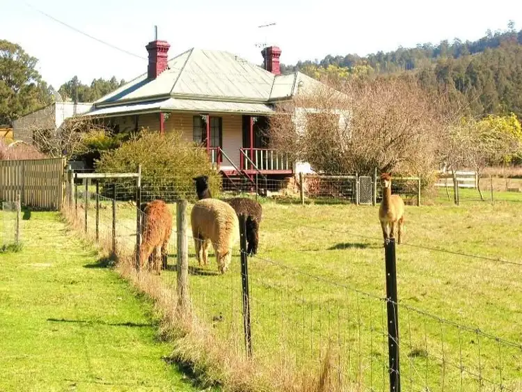 Main view of Homely house listing, 173 Jacksons Road, Franklin TAS 7113