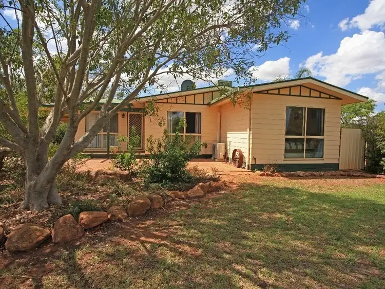 Main view of Homely house listing, 345 Dappo Rd, Narromine NSW 2821