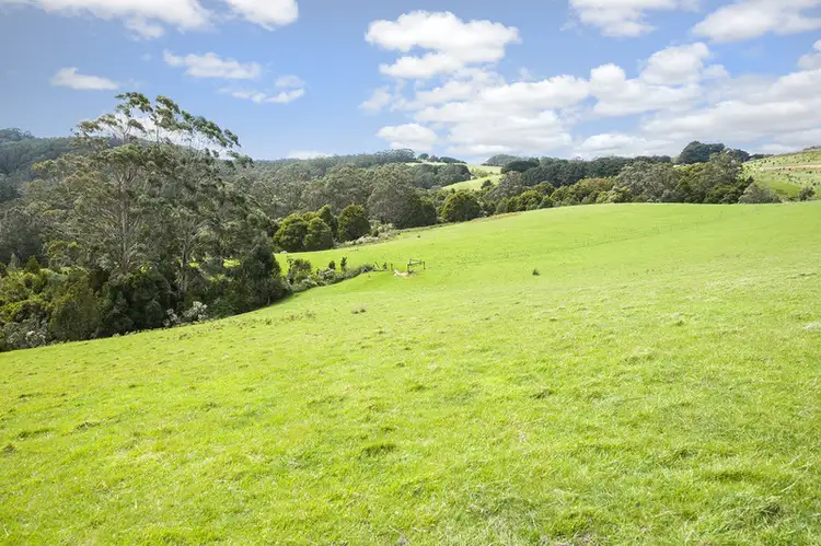 Third view of Homely land listing, 675 Skenes Creek Road, Skenes Creek VIC 3233
