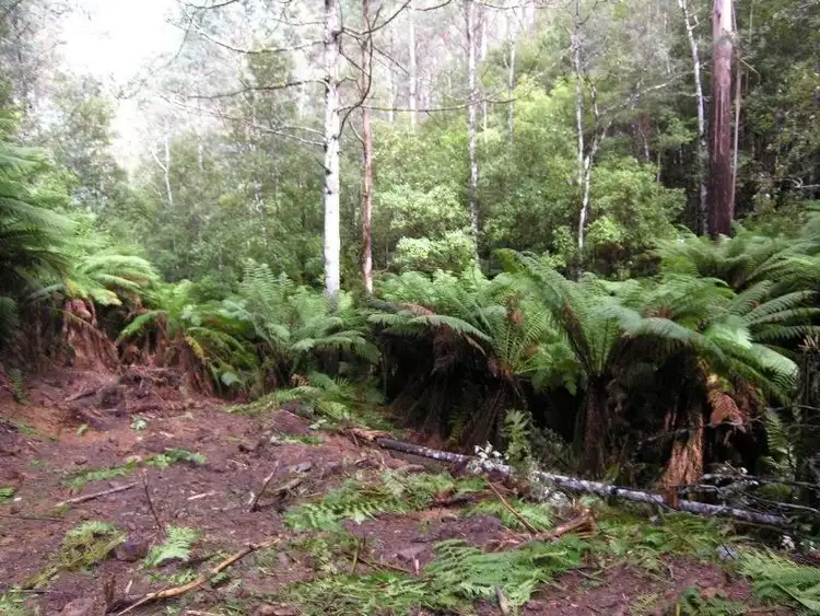 Fourth view of Homely land listing, Cradoc Hill Road, Cygnet TAS 7112