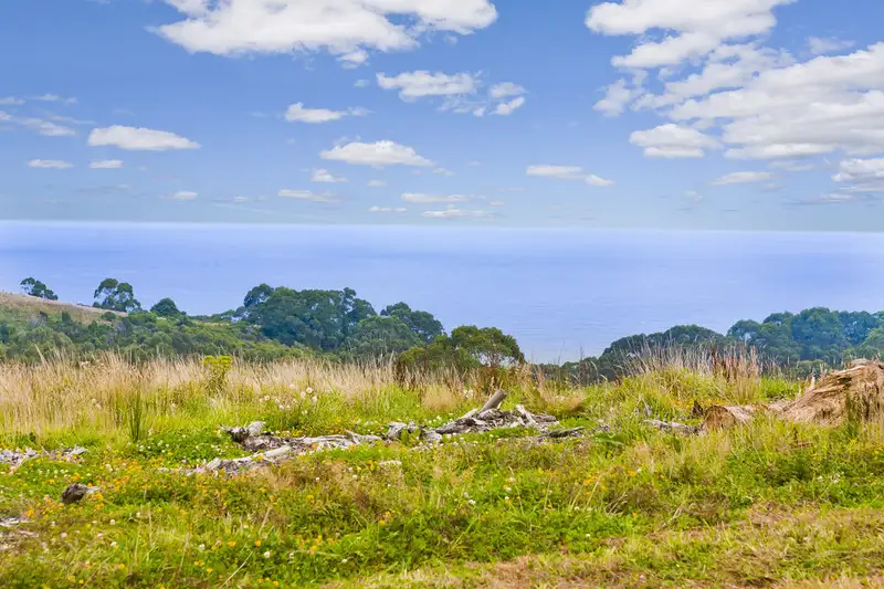 Main view of Homely land listing, 5655 Great Ocean Road, Yuulong VIC 3237