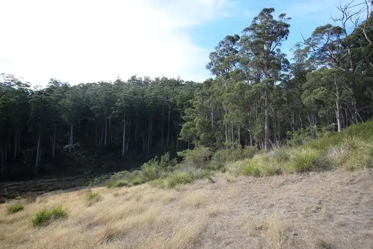 Sixth view of Homely land listing, 26 acres off Abbots Road, Nicholls Rivulet TAS 7112