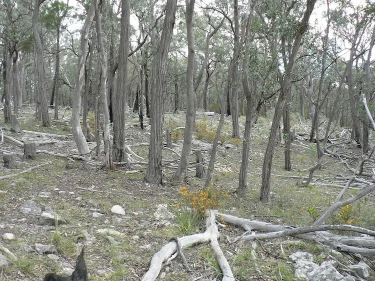 Sixth view of Homely rural property listing, 1451 Tugalong Rd, Canyonleigh NSW 2577