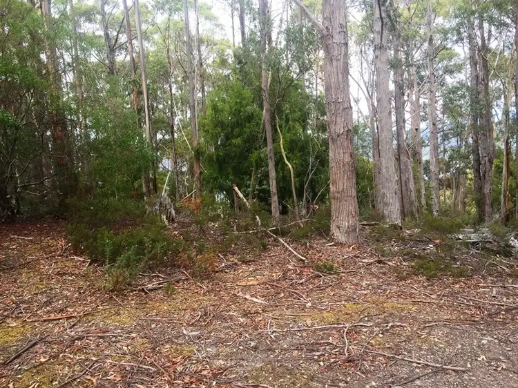 Fourth view of Homely land listing, 39 Duponts Road, Lymington TAS 7109