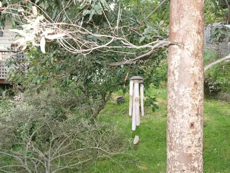 Fourth view of Homely house listing, 14 North Huon Road, Ranelagh TAS 7109