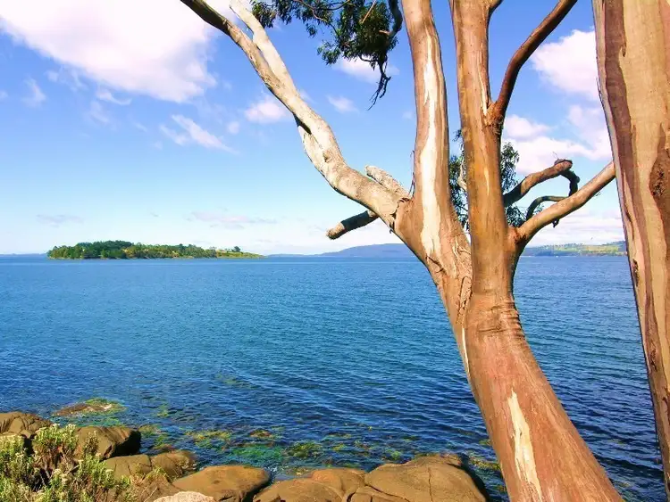Fifth view of Homely land listing, Lot 3 5691 Channel Highway, Verona Sands TAS 7112