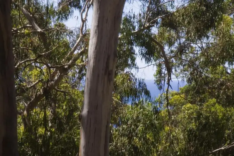 Fifth view of Homely house listing, 19 Cassidy Drive, Kennett River VIC 3221