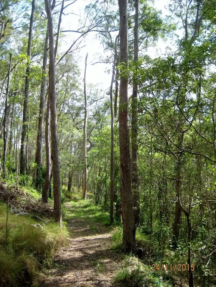Third view of Homely land listing, 289 Moy Pocket Rd, Brooloo QLD 4570