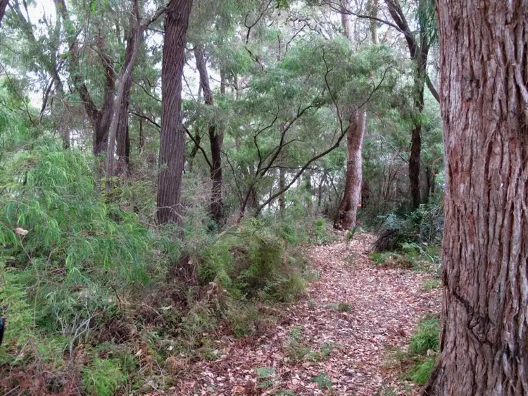 Fourth view of Homely land listing, 7 Lunan Road, Denmark WA 6333