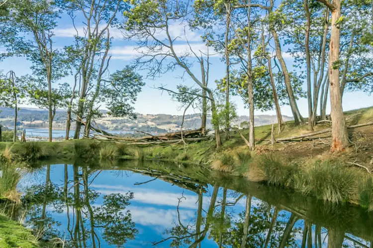 Fifth view of Homely house listing, 119 Crowthers Road, Castle Forbes Bay TAS 7116