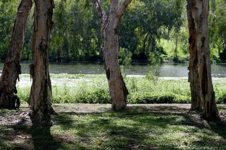 Fifth view of Homely house listing, 6 Koala Court, Kelso QLD 4815