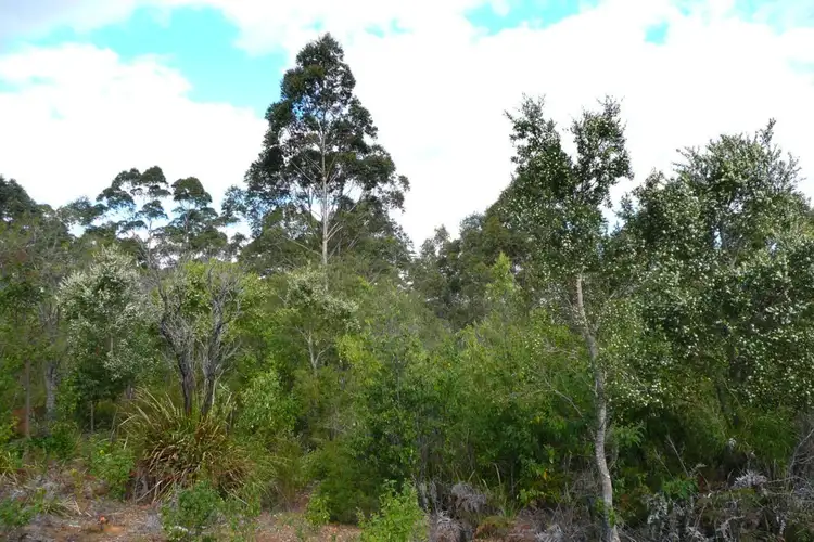 Second view of Homely land listing, 2/22 Mount Leahy Road, Denmark WA 6333