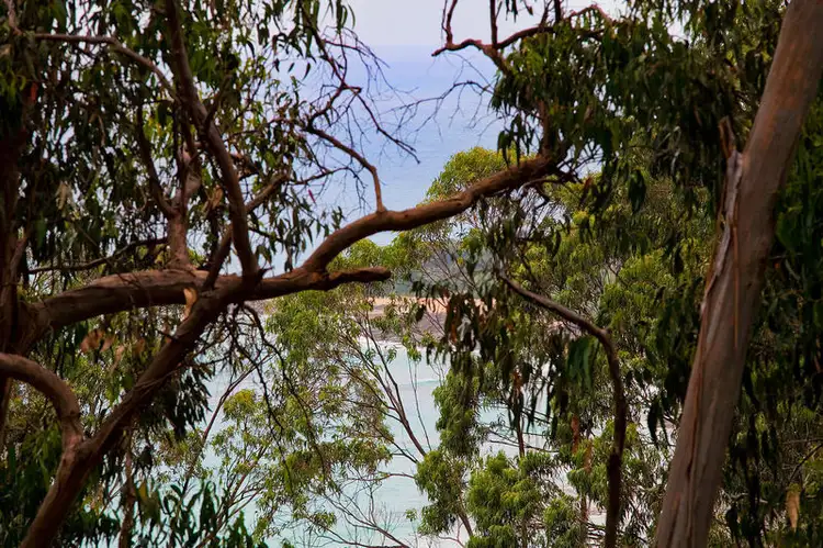 Fourth view of Homely house listing, 10 Durimbil Avenue, Wye River VIC 3221