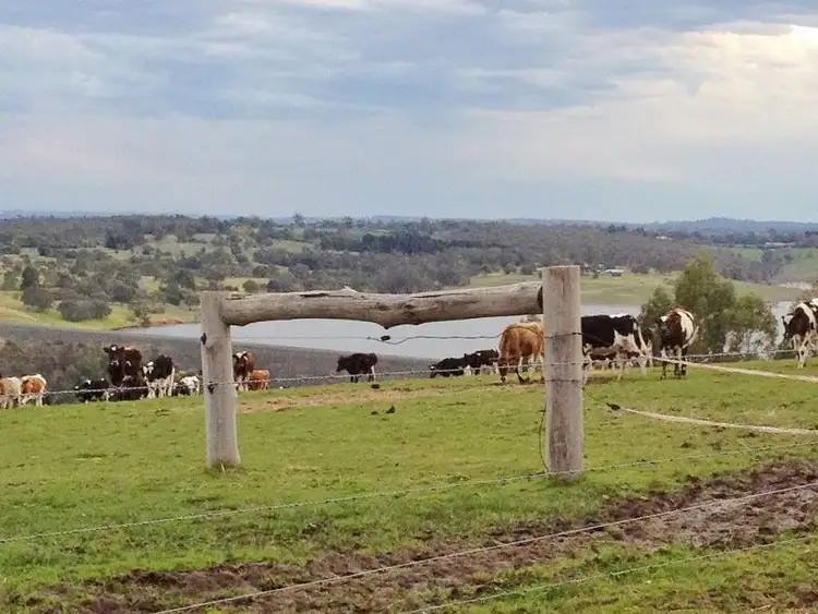 Fifth view of Homely rural property listing, 80 Cervi Road, Tanjil South VIC 3825