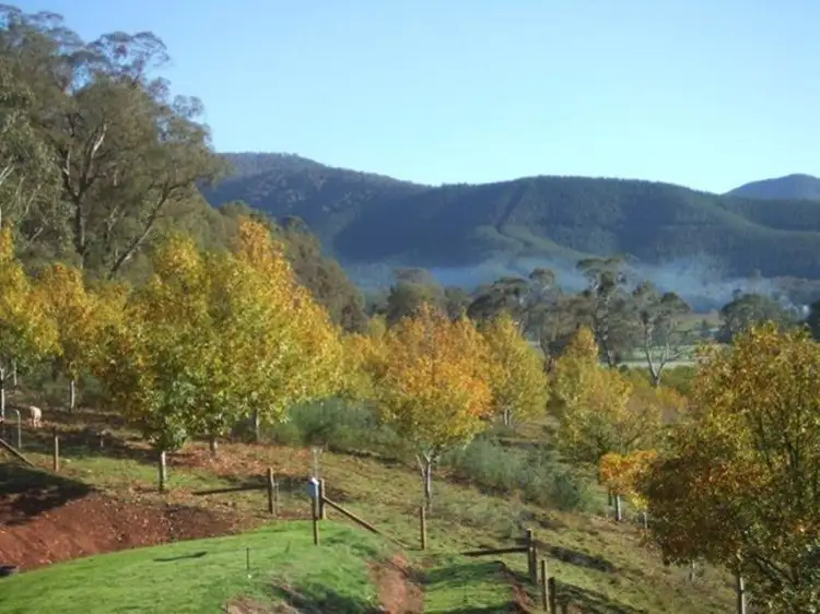 Second view of Homely rural property listing, 1140 Morses Creek Road, Wandiligong VIC 3744