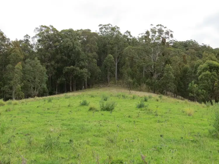Fifth view of Homely rural property listing, LOT 26 Congewai Road, Congewai NSW 2325
