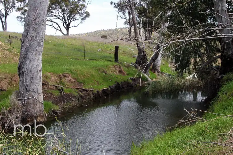 Seventh view of Homely rural property listing, Innisleigh 1108 Reedy Creek Road, Mandagery NSW 2870