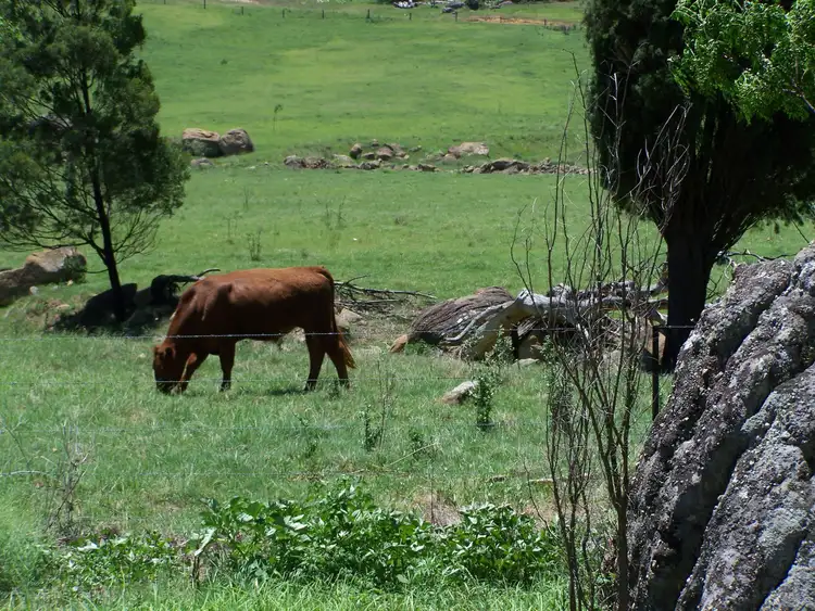 Third view of Homely house listing, 1/363 Wollombi Rd, Broke NSW 2330