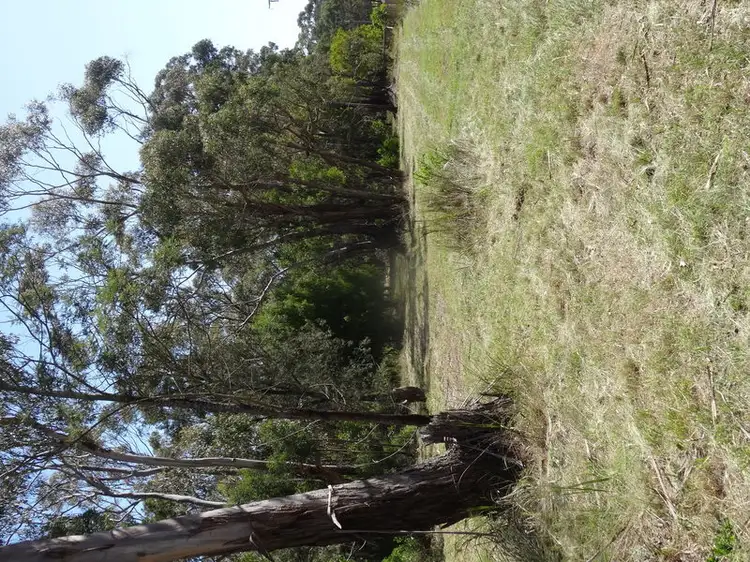 Fifth view of Homely land listing, 55 Noels Lane, Gherang VIC 3240