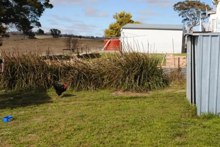 Seventh view of Homely house listing, 18 Gresham Lane, Newbridge NSW 2795