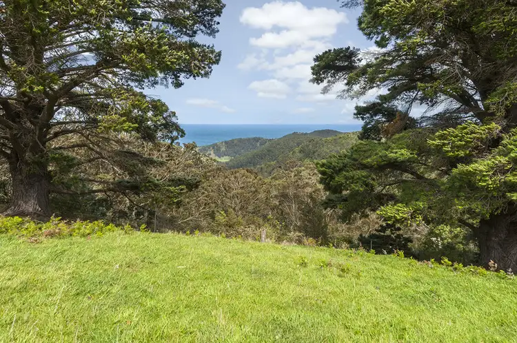 675 Skenes Creek Road, Skenes Creek VIC 3233