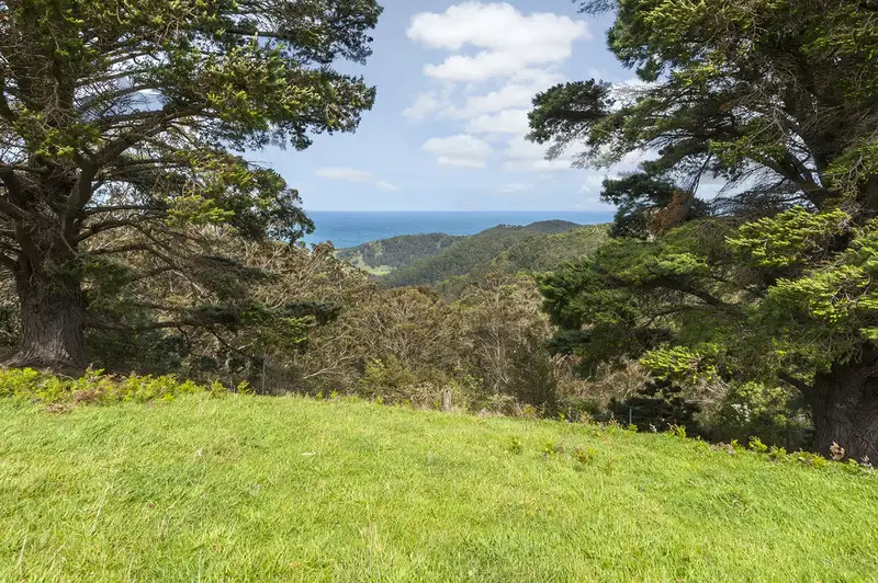 Main view of Homely land listing, 675 Skenes Creek Road, Skenes Creek VIC 3233