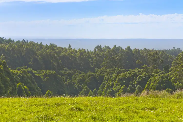 Second view of Homely house listing, 175 Beech Forest/Mt Sabine Road, Beech Forest VIC 3237