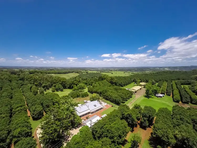 Sixth view of Homely rural property listing, 149-151 Federal Drive, Federal NSW 2480